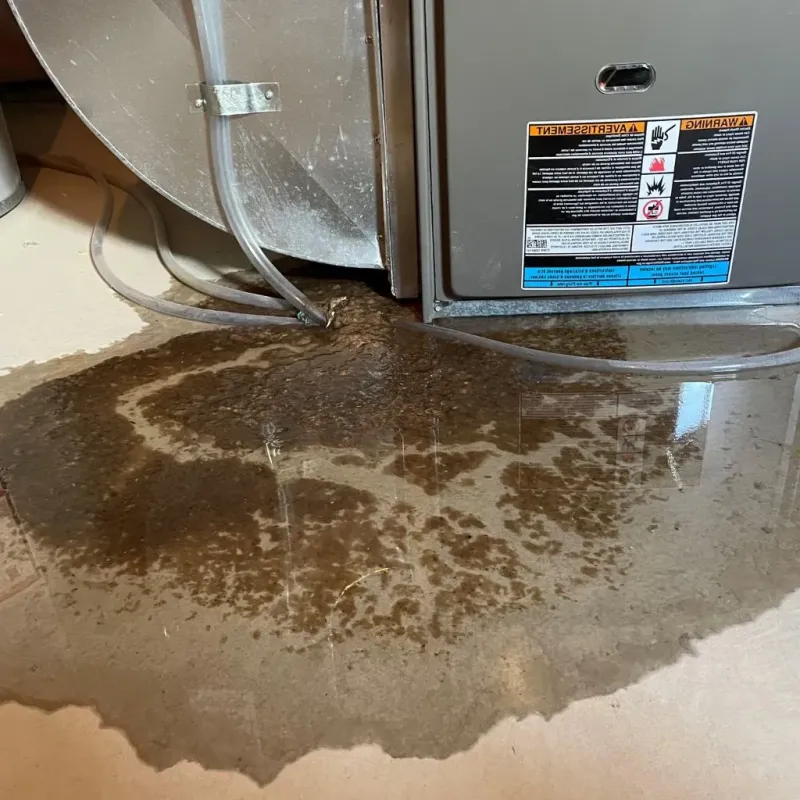 Pipe Burst and Leak Restoration in San Felipe Pueblo, NM